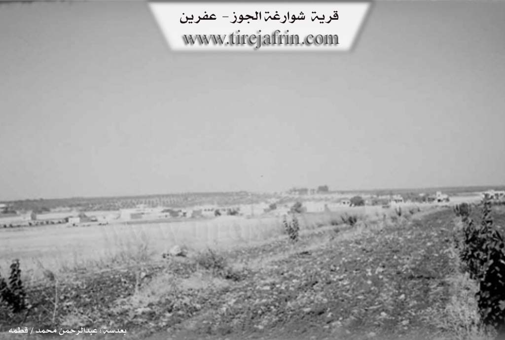 Photo of Şewarxa